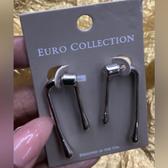 Jewelry - Euro Collection Silver Earrings